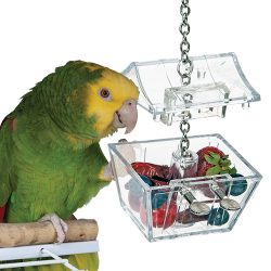 NI 24280 PARROTS TREASURE NI 24280 PARROTS TREASURE